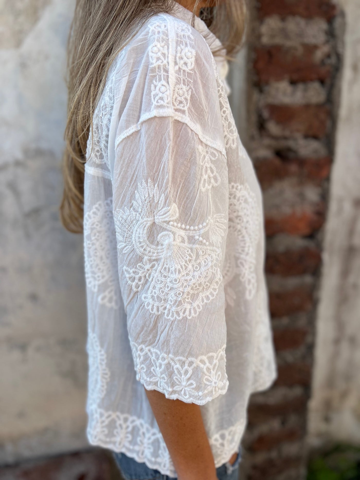 ISABELLE Elegant Lace Embroidery Top